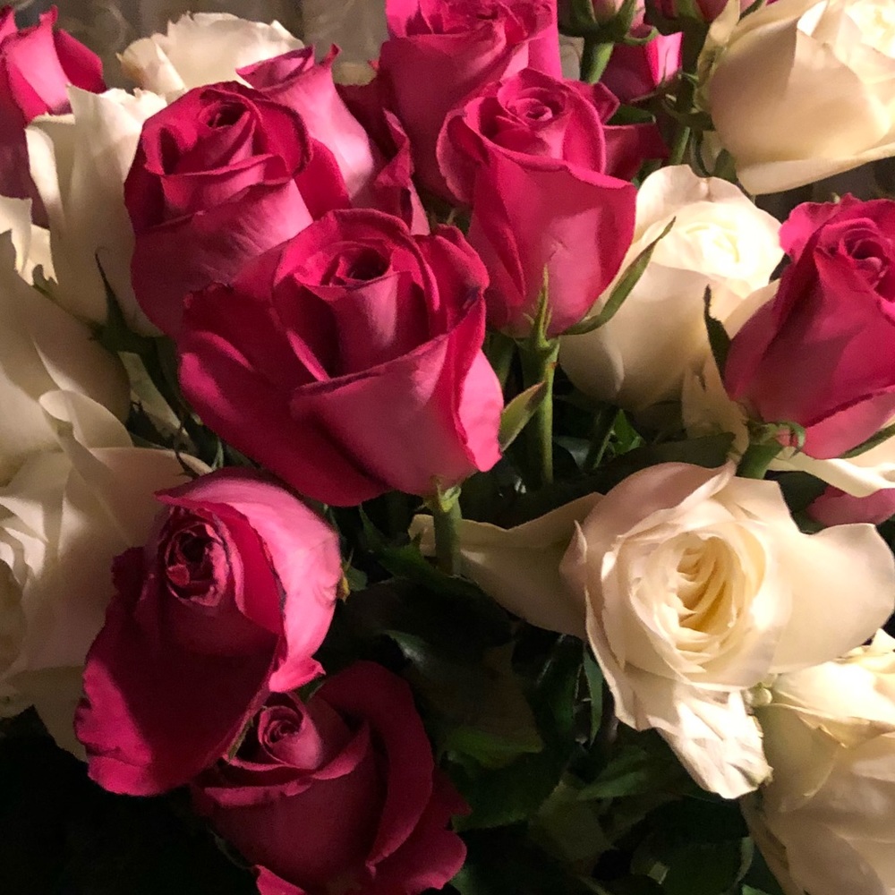 Meet your Posher, Mio